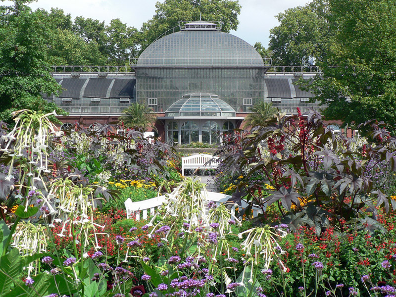Palmengarten, Frankfurt