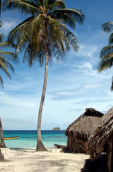 Beach huts in Panama