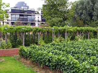Parc bercy paris1