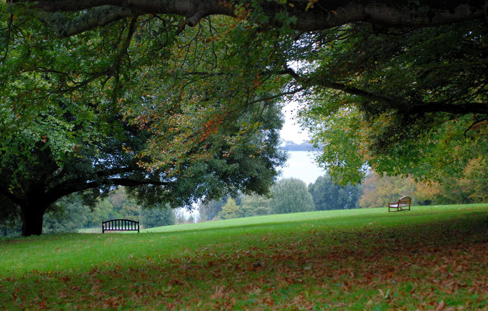 Bench, Parc de la Briantais