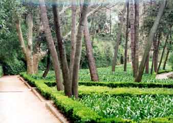 Parc del laberint