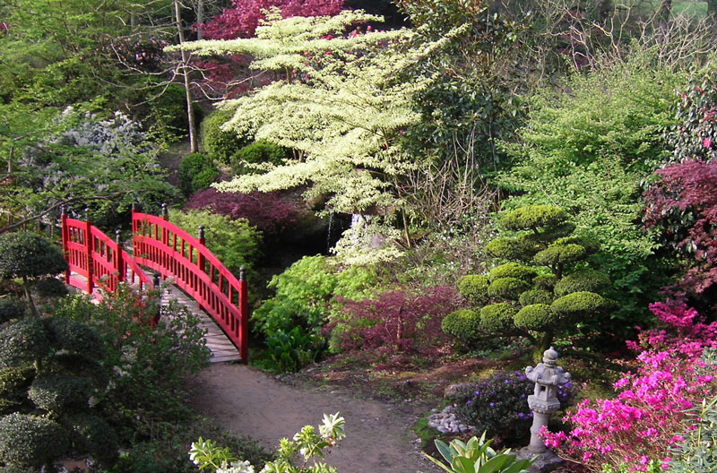 floral garden