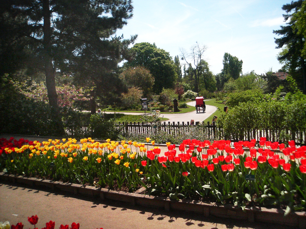 Parc Floral de Paris Rodrigo SEPÚLVEDA SCHULZ