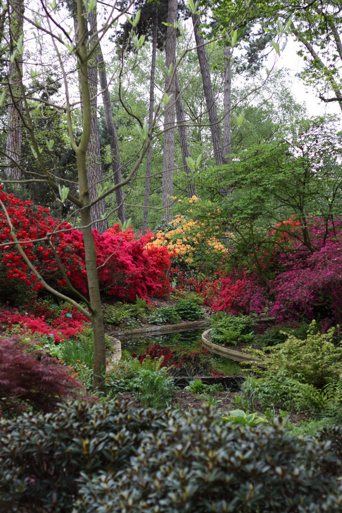Parc Floral de Paris Aldric van Gaver