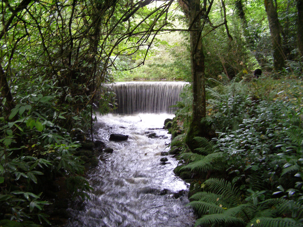 Parc Glynllifon, Caernarfon