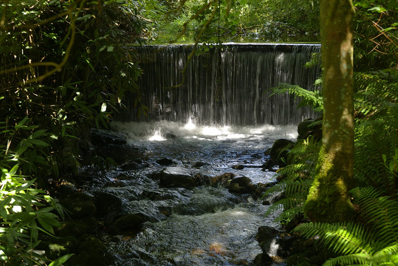 Parc Glynllifon, Wales