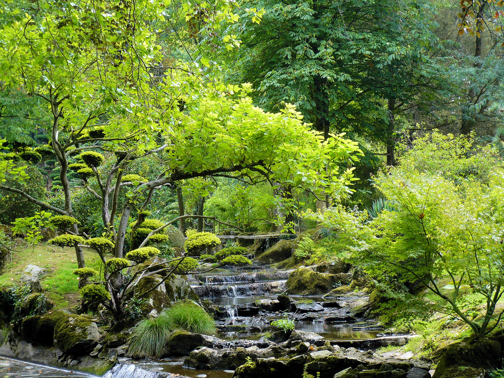 Parc Oriental Stéfan Le Dû