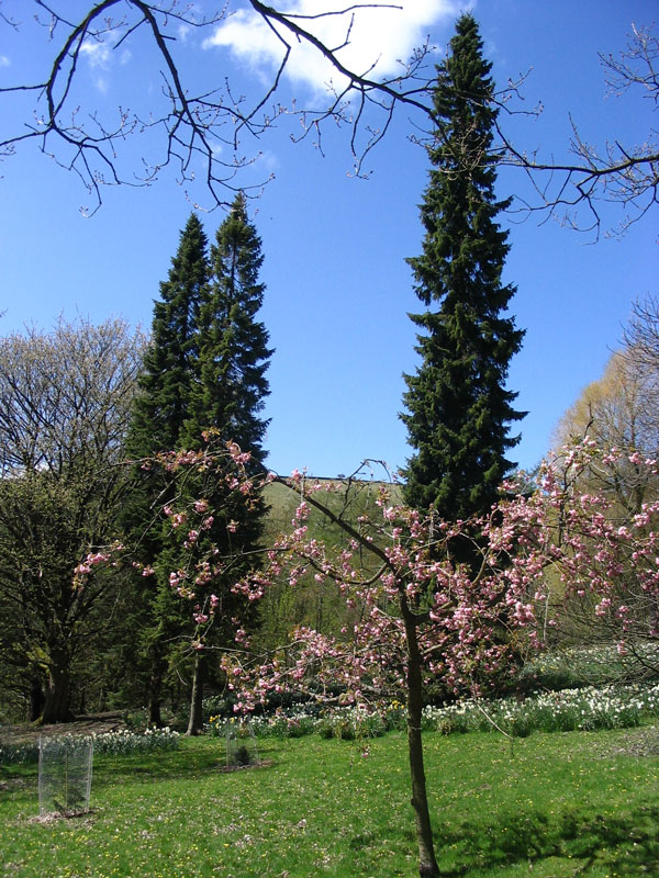 Parcevall Hall Gardens, North Yorkshire