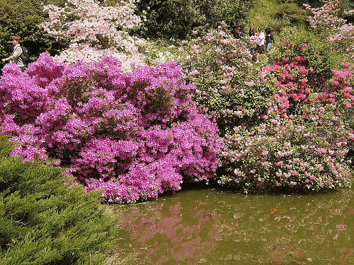 Parco Burcina Felice
