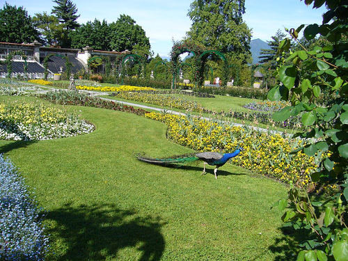 Parco Pallavicino