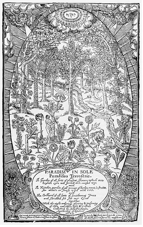Illustrations on CD edition of Garden Visit and Travel Guide - see www.gardenvisit.com/order_form.htm