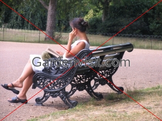 Park Bench