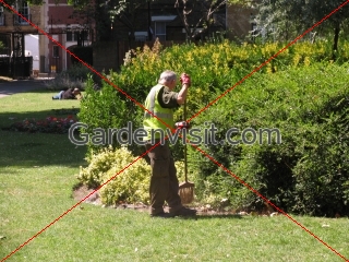 Park Gardener