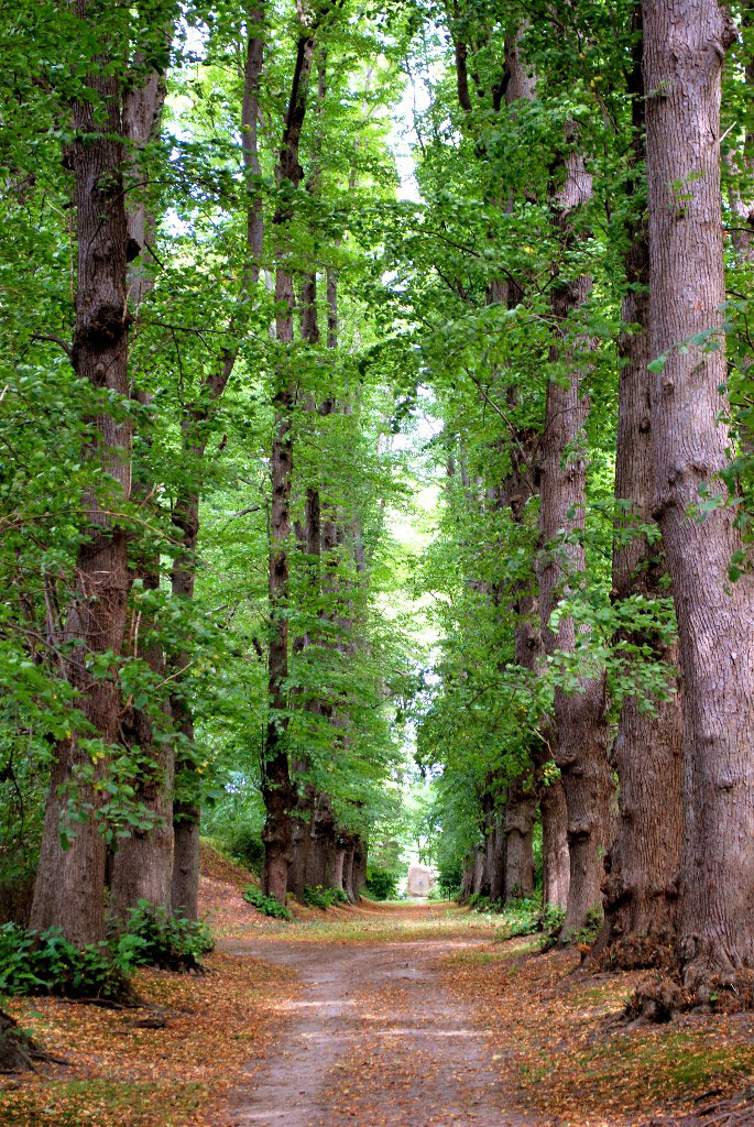 Park Juliusruh, Germany