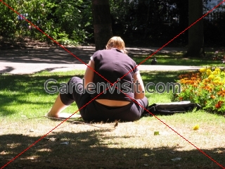 Park Relaxation