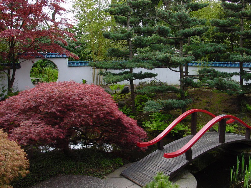 Oriental Garden, Park & Tilford Gardens
