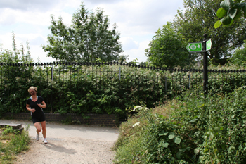 Parkland Walk
