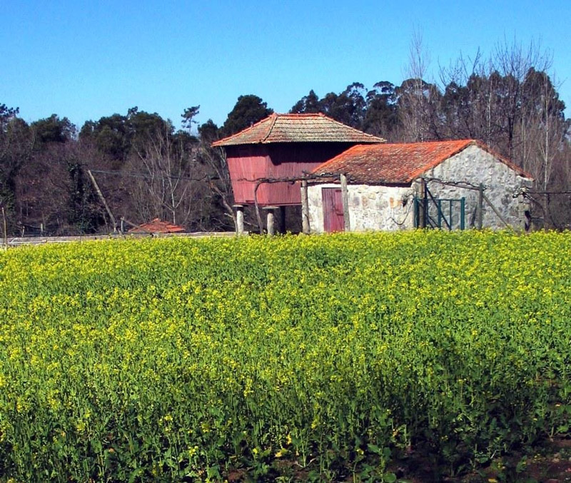 Parque Biológico de Gaia , Portugal