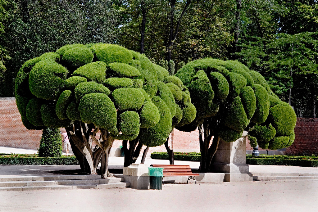 Parque De Retiro