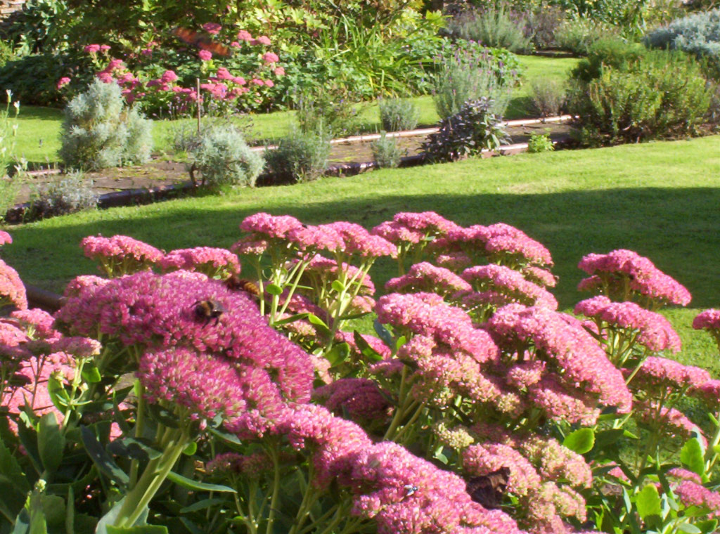 Part-Y-Seal Gardens