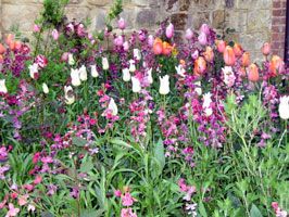 Pashley manor gardens