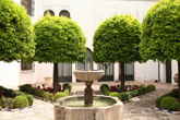 Cordoba patio