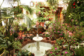 Cordoba patio