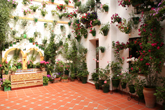 Cordoba patio