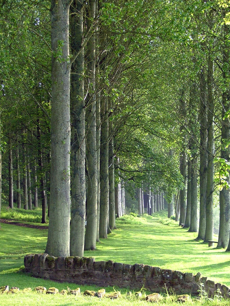 Paxton House Garden, Berwick upon Tweed