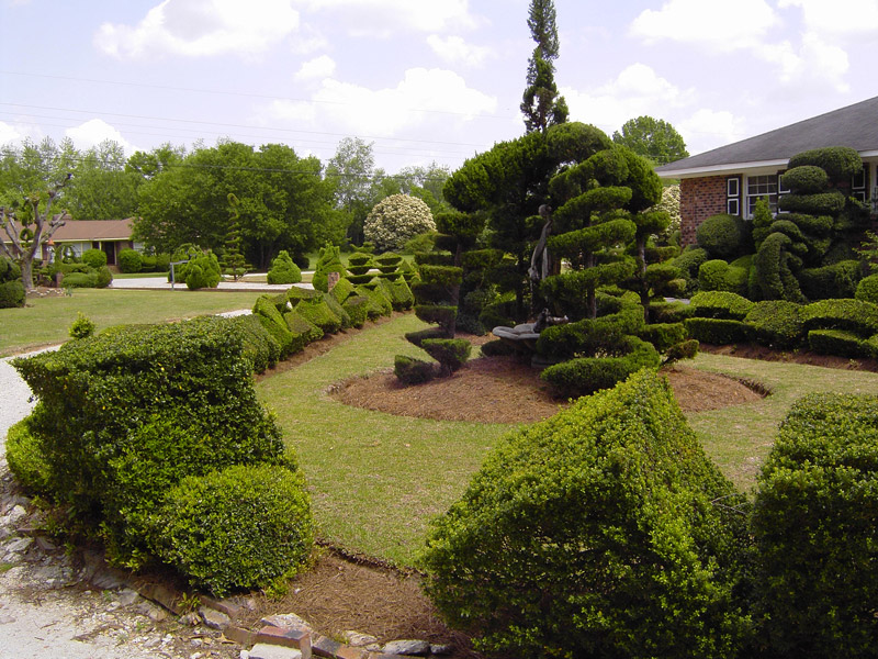 Pearl Fryar's Topiary Garden, Bishopville
