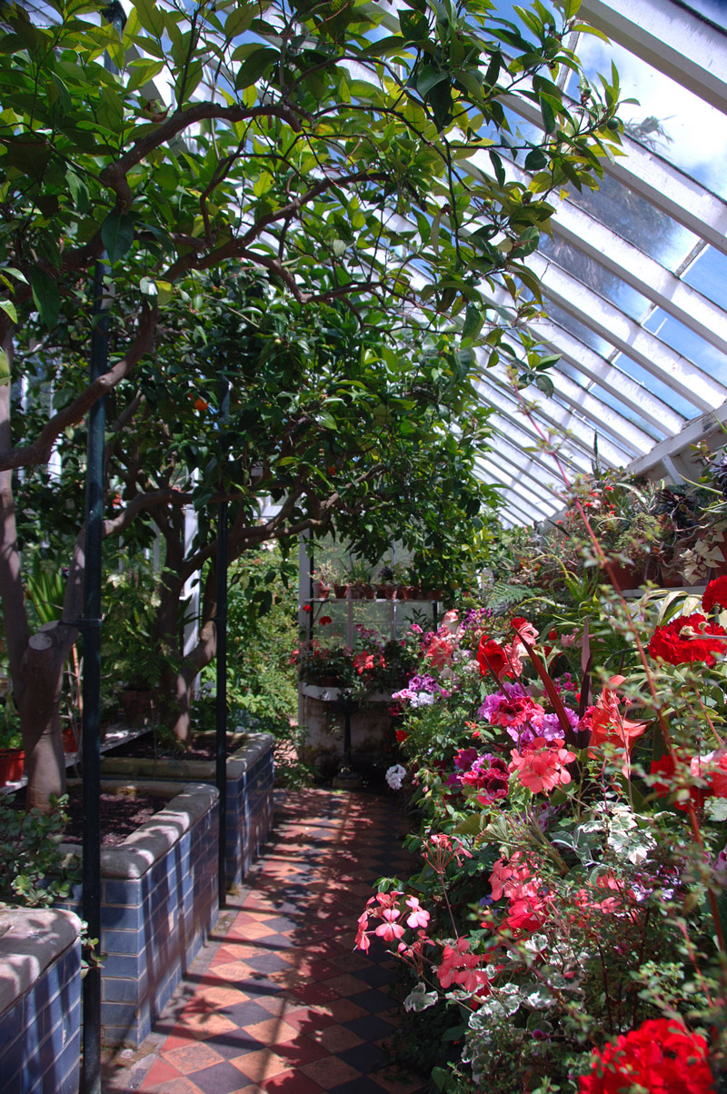 Peckover House Gardens