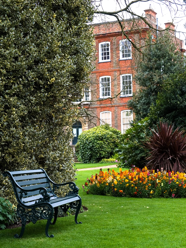 pictures of trees in summer. borders, summer houses and