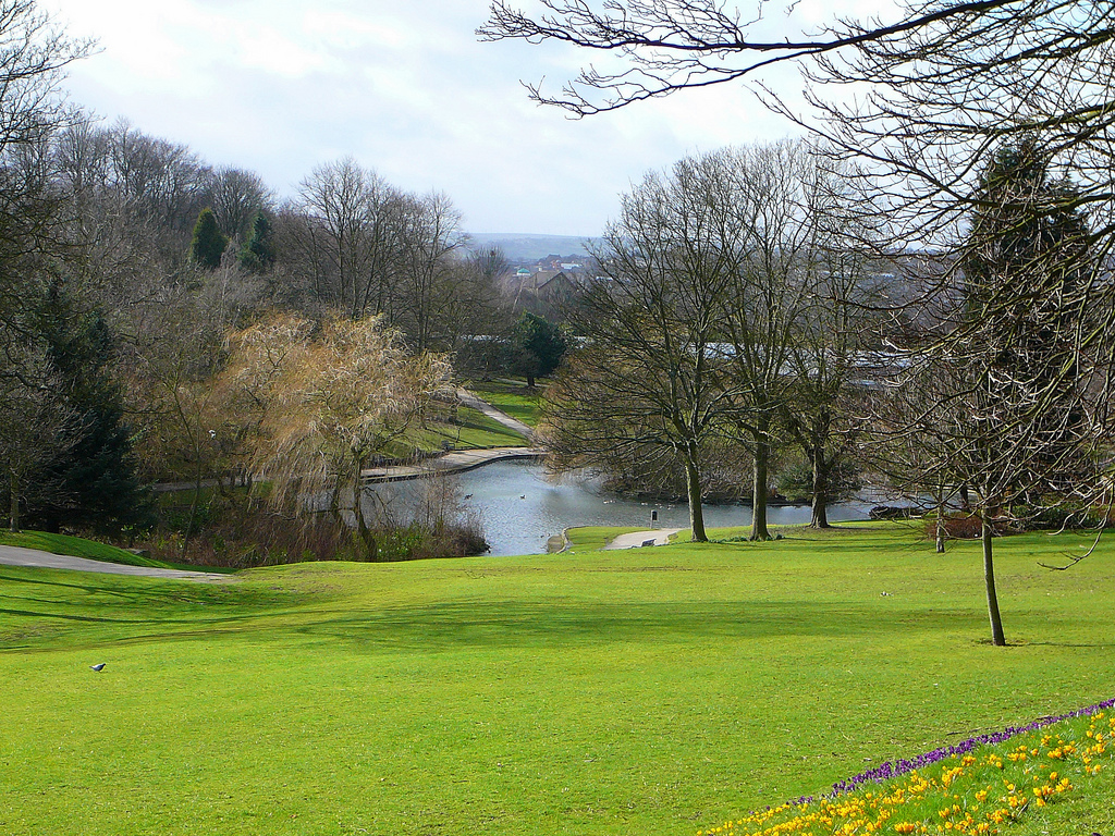 Peel Park Tim Green