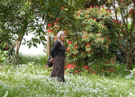 Garden at Penmere Manor Hotel