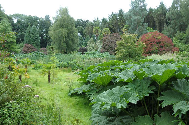Penrhyn Castle Garden, 2009