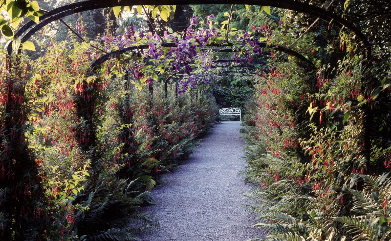 Penrhyn Castle Garden, Gwynedd
