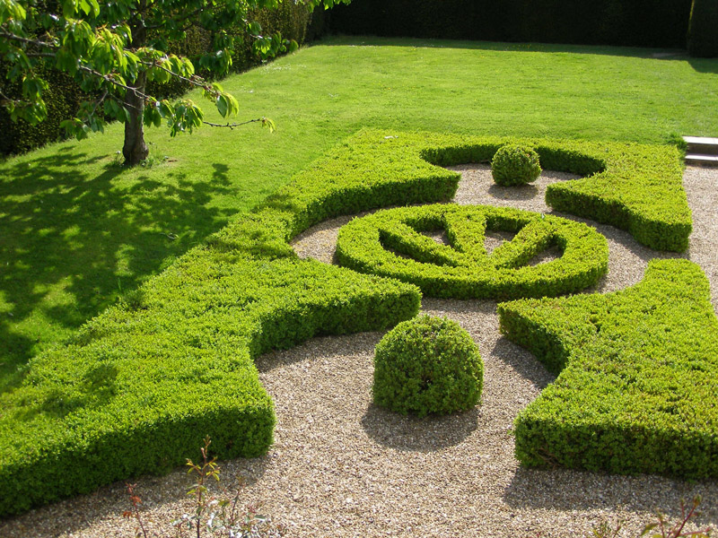 Hedges, Penshurst Place Garden