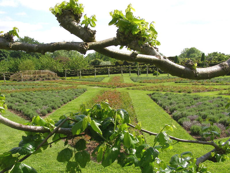 Penshurst Place, Kent