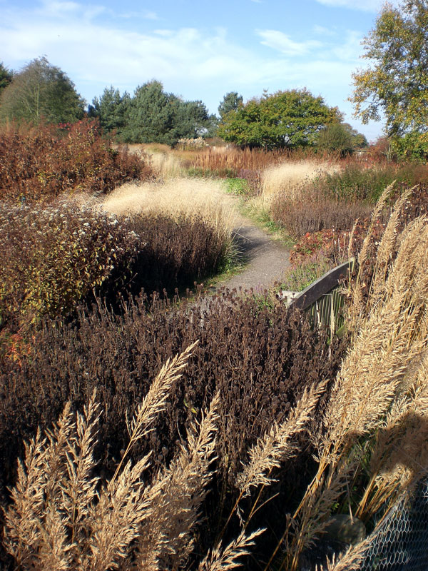 Millenium Garden in Autumn, Pensthorpe