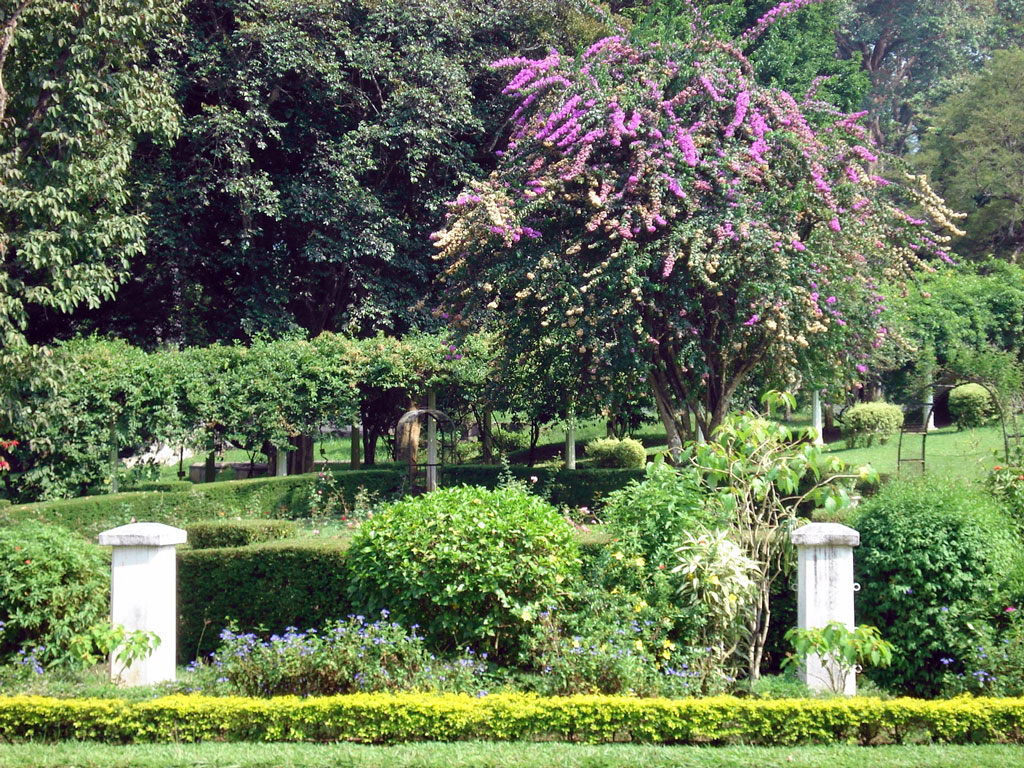 Peradeniya Botanic