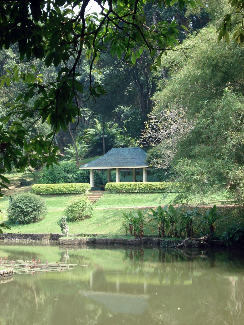 Peradeniya Botanic, Kandy