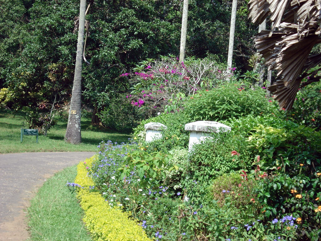 Peradeniya Botanic Gardens, Kandy