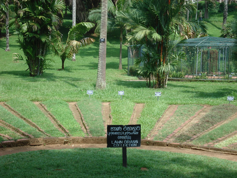 Peradeniya Botanic Gardens GardenVisit.com, the garden landscape ...