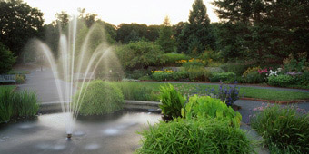 Fountain in the Perennial Garden