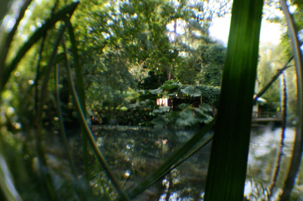 Hannah Peschar Gallery and Sculpture Garden, May 2009