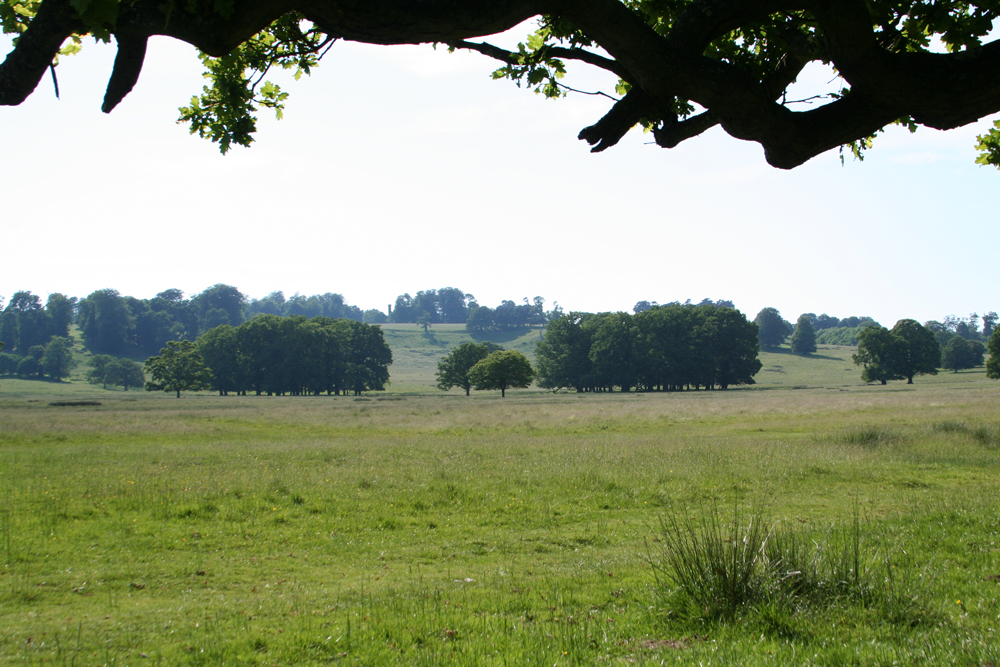 Petworth House Garden, Sussex