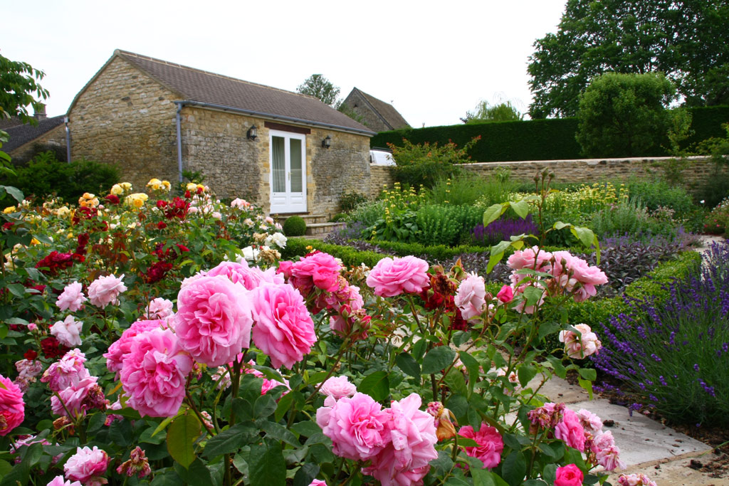 Phoenix Garden Design