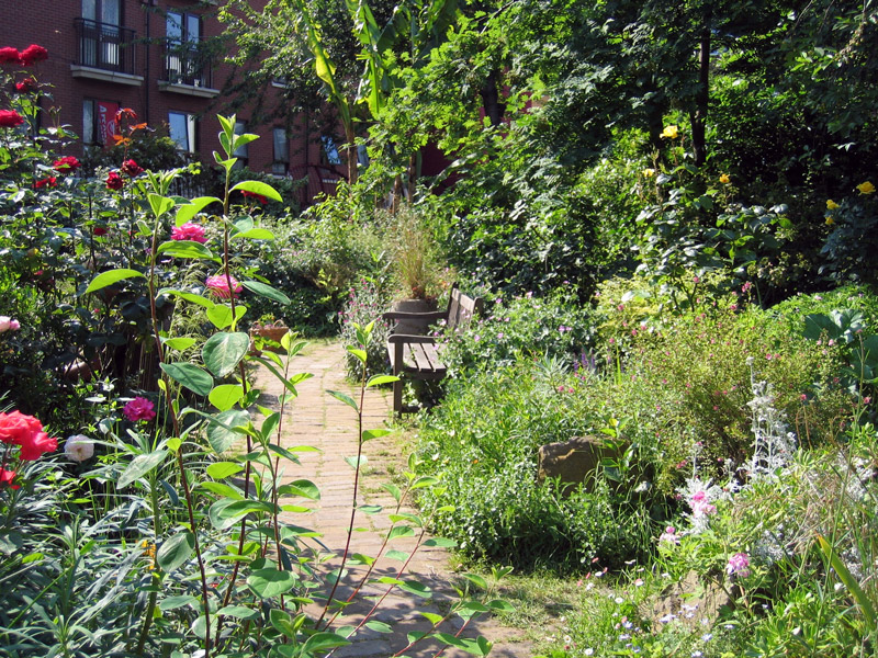 Phoenix Garden, London