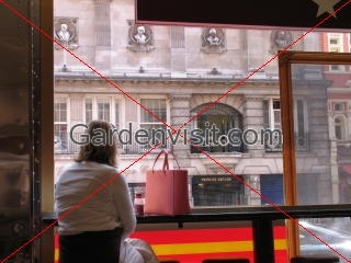 Piccadilly CafT