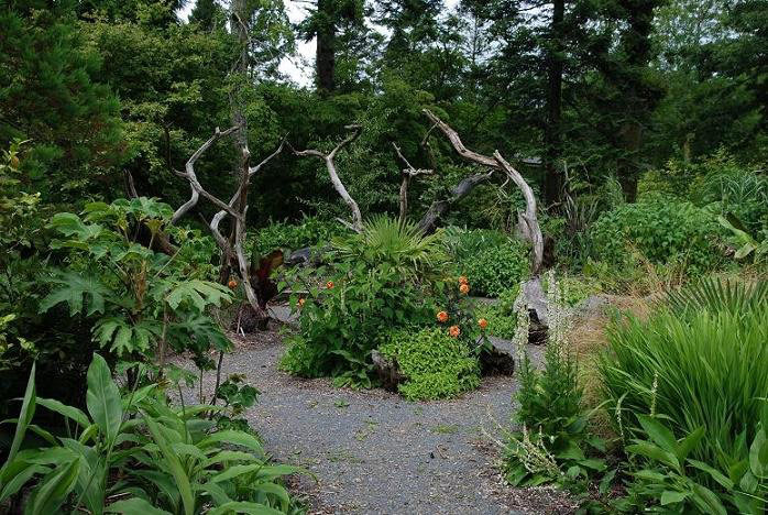 Picton Castle Garden, 2009